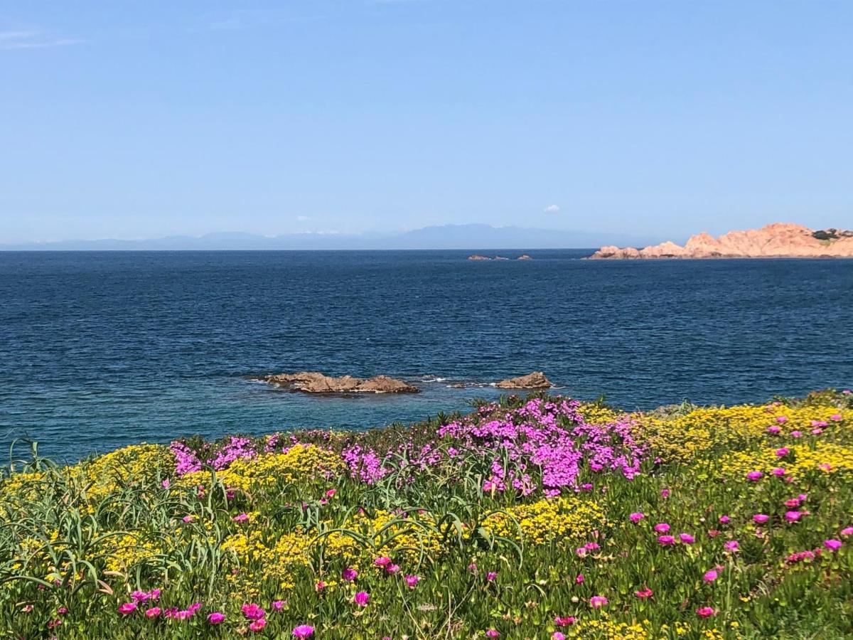 Borgo Spiaggia Isola Rossa Eksteriør billede